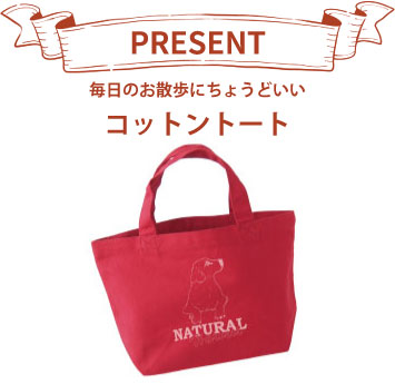 gift_a_bag