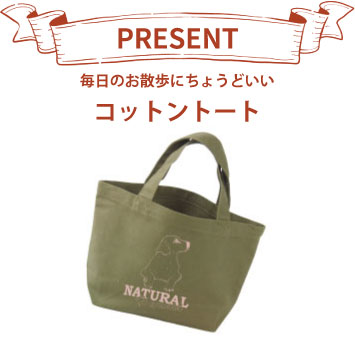 gift_b_bag