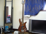 Warwick