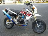 3574813f.jpg