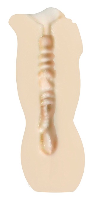 611-cm3KYgL._SL1500_