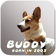 buddy_logo_small