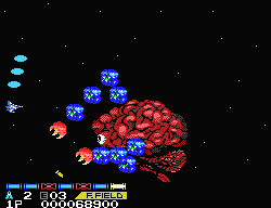 salamandermsx-03