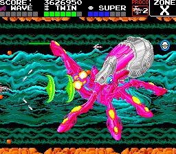 Octopus2