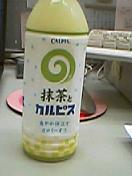 040809_1319001.jpg