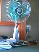040815_1711001.jpg