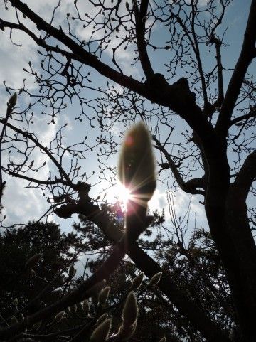 春