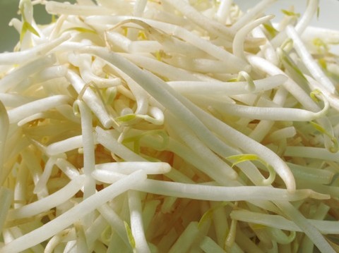 低炭水化物
