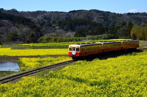 電車