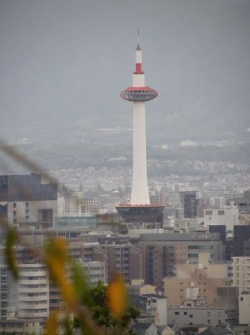 一見さん
