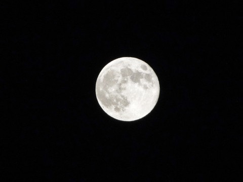 夜に