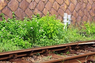 専用車両