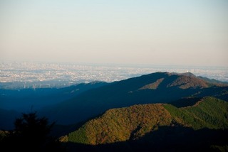 目