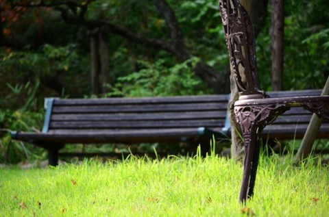 公園で
