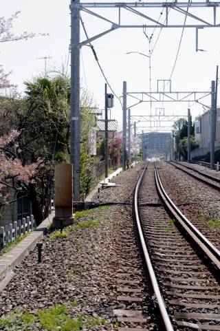 電車