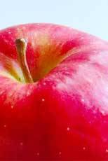 Appleのロゴのリンゴが少し欠けてる理由知ってるか？ｗｗｗｗｗｗ