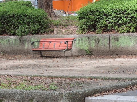 大学