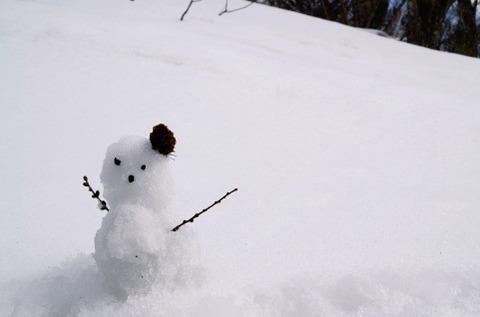 トッモの