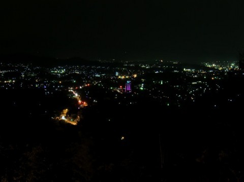 大学