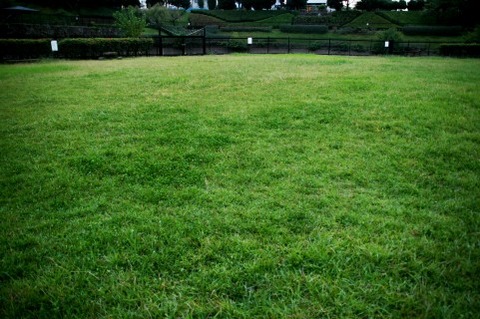 公園で