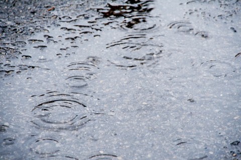 職場雨