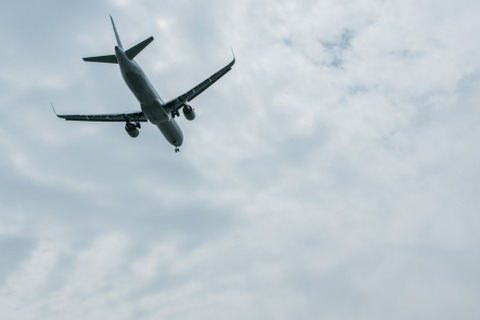 旅行が