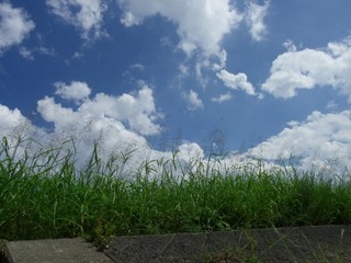 子供