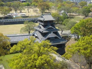 熊