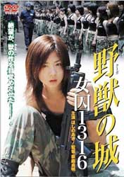 野獣の城