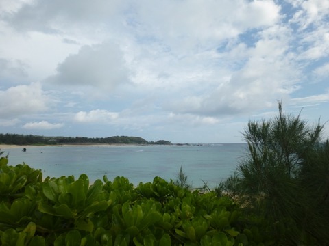 P1020598 (800x600)