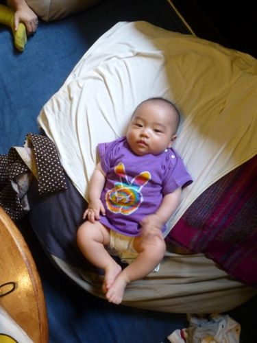 P1010495 (375x500)