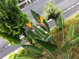 画像 002