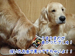 フィラリア 薬
