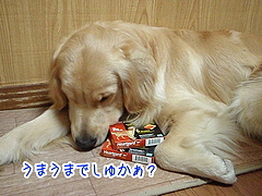 フロントライン プラス