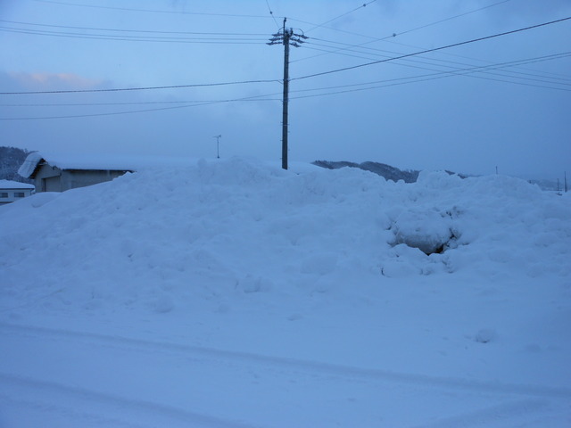 DSCN0715