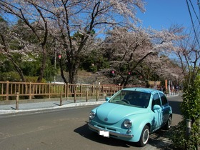 RIMG0118_sh01
