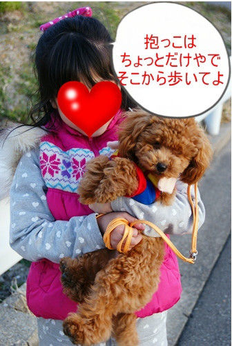 グッデイ!!-お茶目主婦、デカプーを飼う-