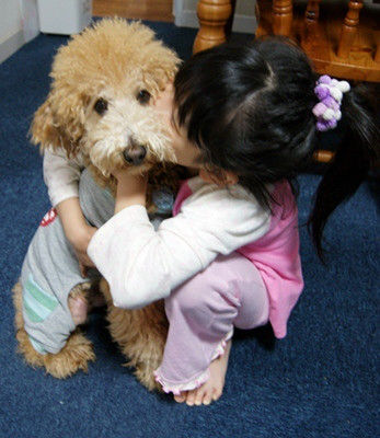 グッデイ!!-お茶目主婦、デカプーを飼う-