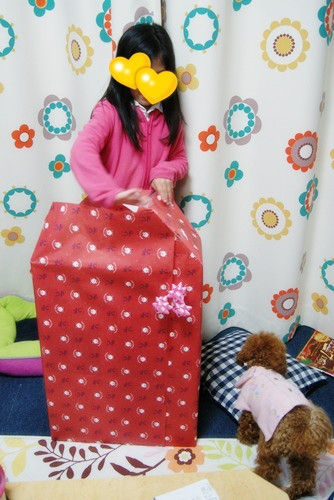 グッデイ!! でかプーとhappyの缶詰