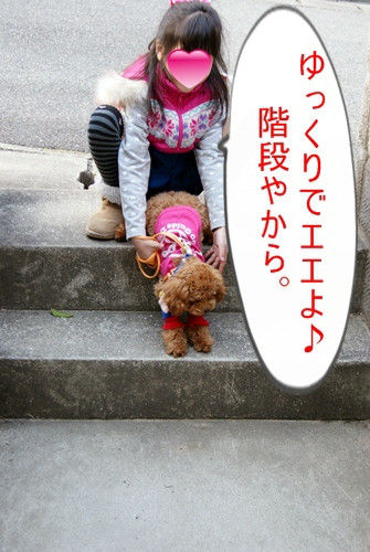 グッデイ!!-お茶目主婦、デカプーを飼う-