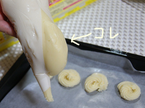 9567221a.jpg