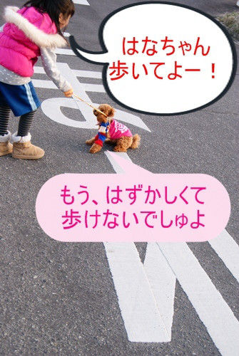グッデイ!!-お茶目主婦、デカプーを飼う-
