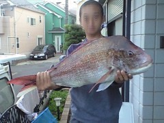 こんなのが良く上がるんだよ M Jr