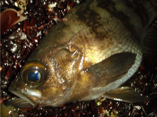P1050253