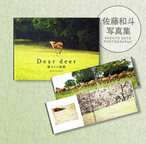 deer