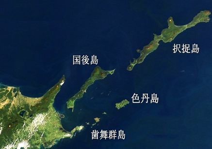WS000295