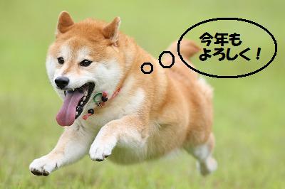 185