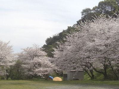 CIMG5645
