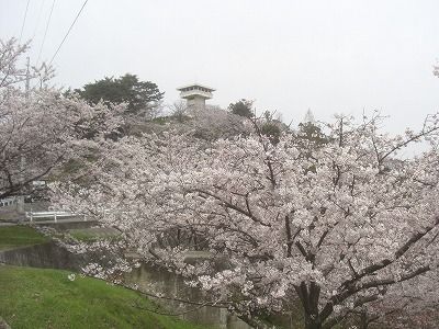 CIMG5669