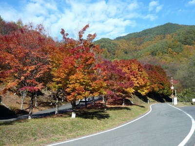 P1100999
